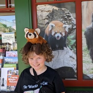 St. Louis highlights